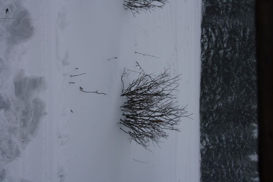IMG 5116
